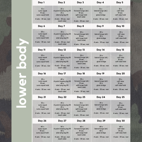 cotm_lowerbody_squat_leglift_lunge_calfraise_h_hp.png