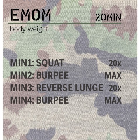 emom_l13h.jpg