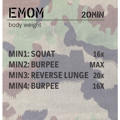 emom_l13m.jpg