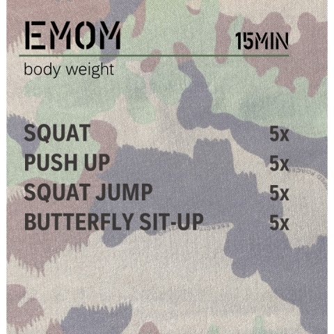 emom_l9h.jpg