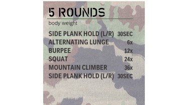 Full body workout: 5rounds - body weight