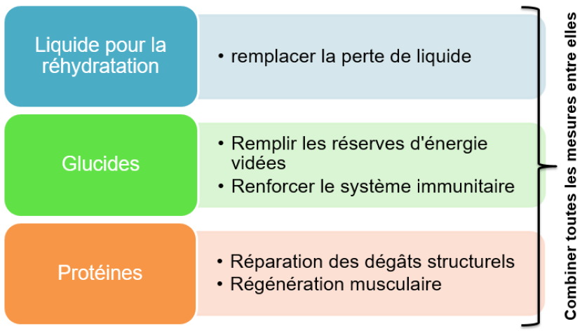 L'alimentation pendant le stress physique