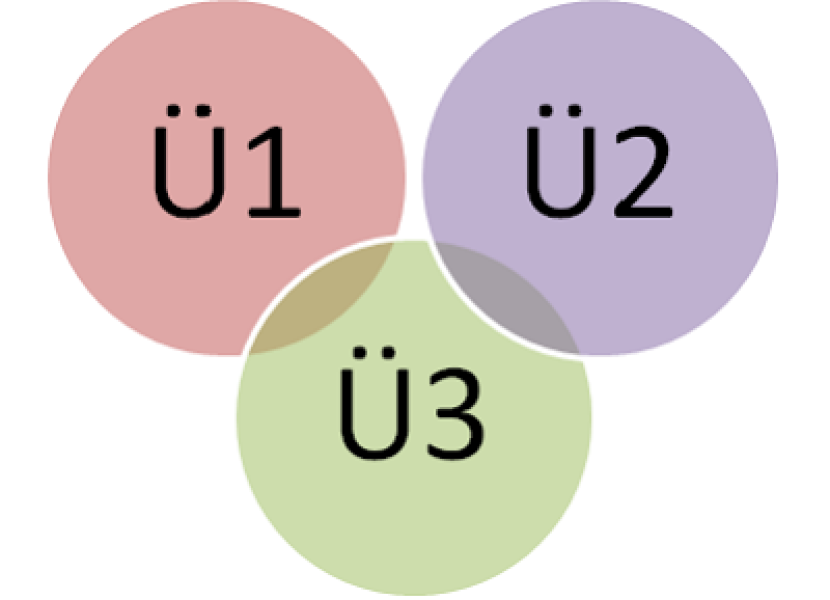 Organisationsform