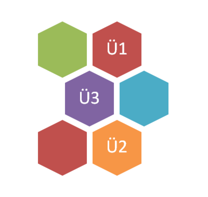 Organisationsform