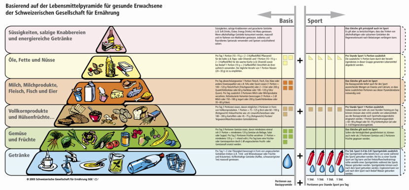 Food pyramid