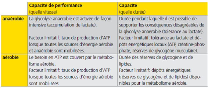 Manifestations de l'endurance