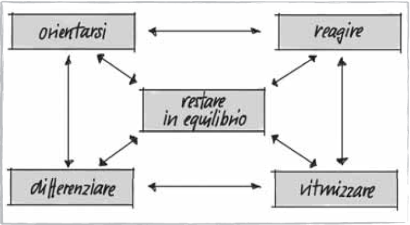 Il modello didattico e i suoi tre concetti fondamentali