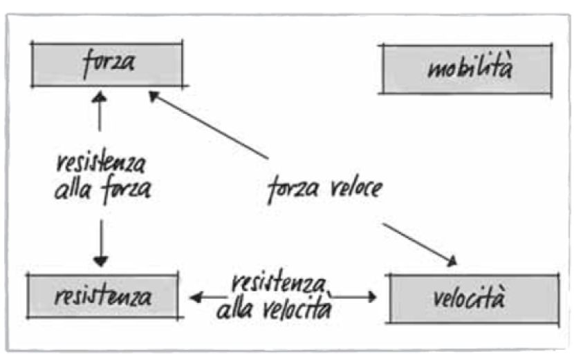 Il modello didattico e i suoi tre concetti fondamentali