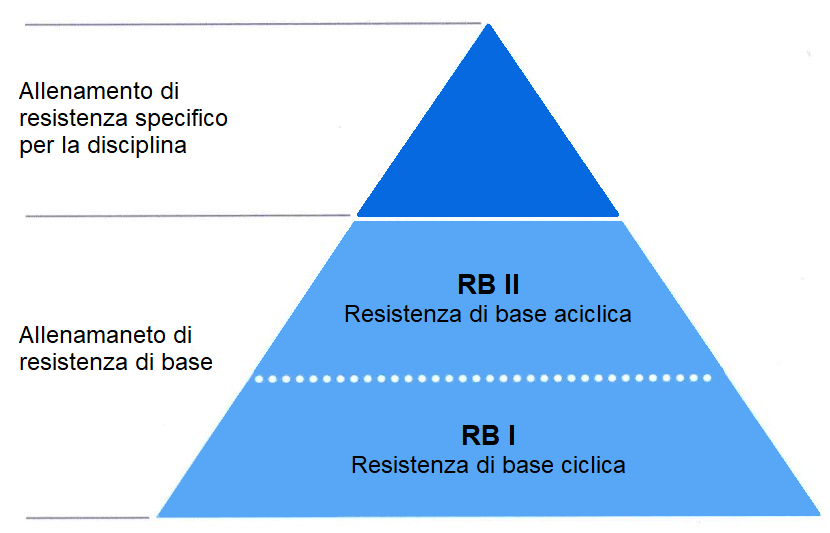 Aspetti metodologici dell'allenamento di resistenza